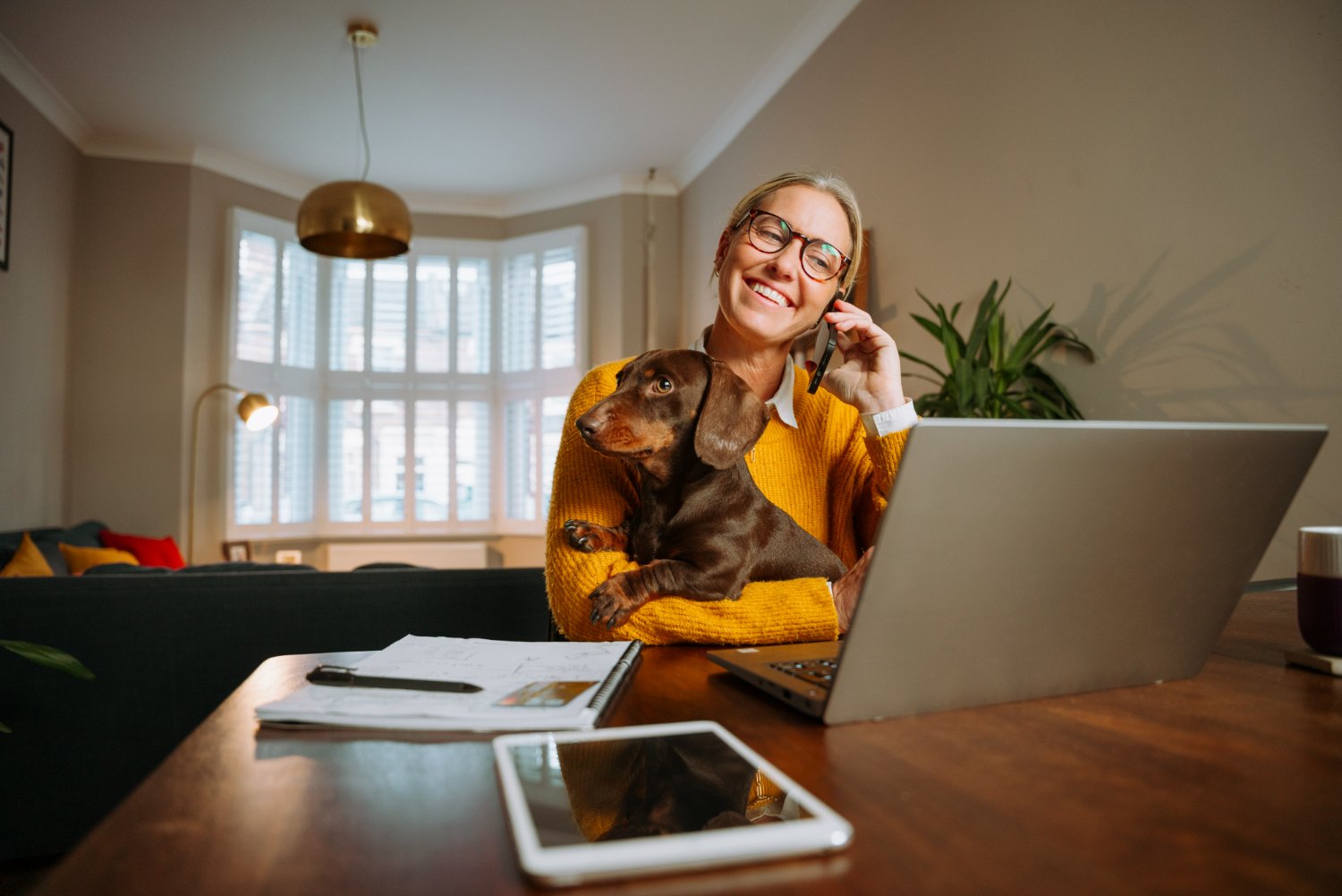 Lächelnde Frau im gelben Pullover telefoniert im Homeoffice, ihr Dackel sitzt auf dem Schoß – Hund am Arbeitsplatz